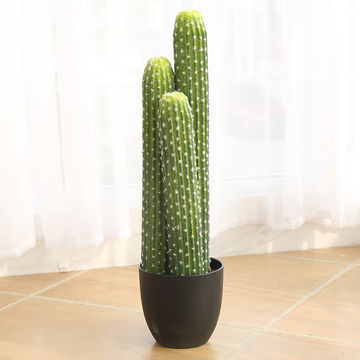Bonsái de cactus suculento artificial, escenario de bricolaje, jardín, fiesta en casa de vacaciones