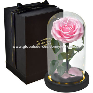 Eternal rose, preserved rose in glass dome, with light