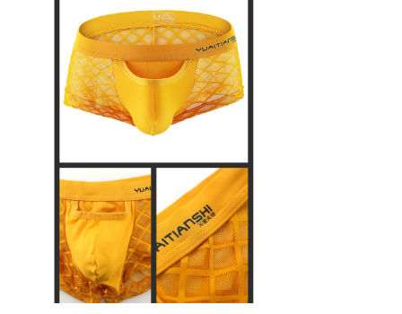Sous-vêtements En Filet Creux Sexy Boxer En Maille Respirante Trunks En Resille Lingerie Pour Hommes