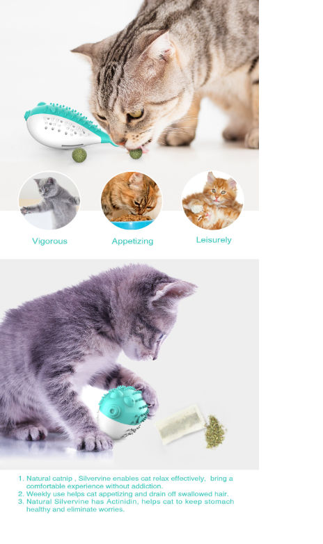 toys for cats ebay