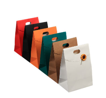 Wholesale Natural Brown Paper Punch Hole Kraft Shopping Bag - China Kraft Paper  Bag, Paper Shopping Bag