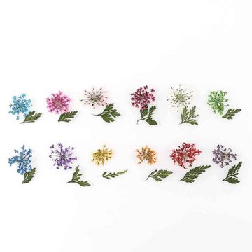 Buy Wholesale China 2021 New Design Multi-style Natural Nail Art Decoration  Diy Natural Nail Dried Flowers & Nail Dried Flowers at USD 0.71