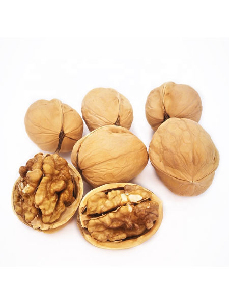Factory price Big size 34mm+ delicious Chinese walnut in shell washed ...