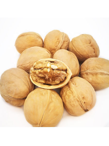 Factory price Big size 34mm+ delicious Chinese walnut in shell washed ...