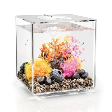 Small Desktop Mini Ecosystem Tank Acrylic Fish Tank