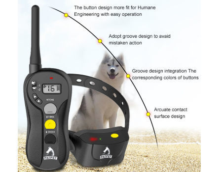 best pet training collar