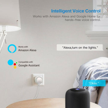 Home Smart Plug with Alexa and Google Wifi Smart + Voice Control