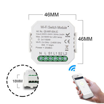 China 10A Max wifi smart switch module 2 gang 2 way smart switch box ...