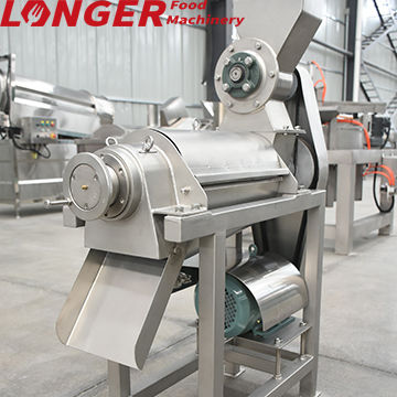 Small Ginger Juice Extractor Machine  Ginger Processing Machine  Manufacturer and Supplier