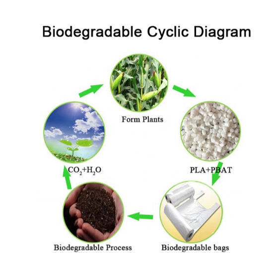 compostable zipper bolsas