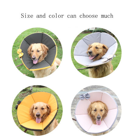 dog collar fasteners