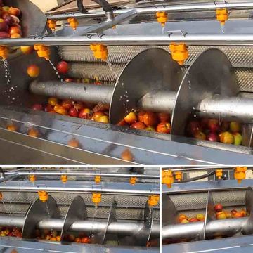 Brush Roller Washer Machine for Tomato Peach Lemon - China Fruit Vegetable Washer  Machine, Lemon Washing Machine