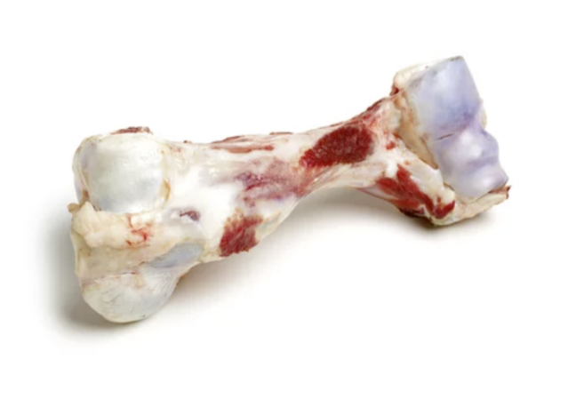 beef knee bone