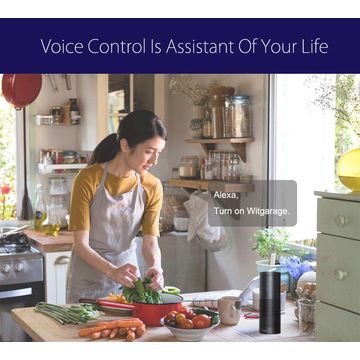 Smart Garage Door Opener, APP Control, Alexa and Google Assistant Voice Control