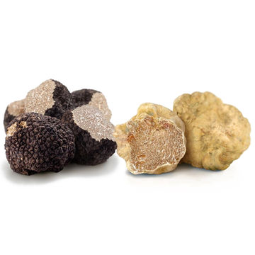 Truffes-italiennes-noires-sauvages-fraiches.jpg