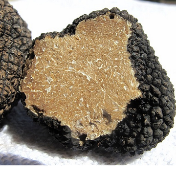  Trufa negra 100% orgánica salvaje, hongo de trufa