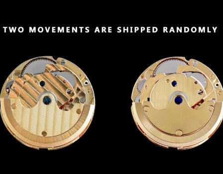 Seagull 2813 movement sale