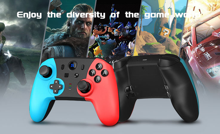 switch controller with paddles