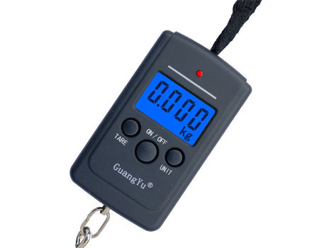 Brand New 40kg/20g Digital hanging Portable handy fish Scale 