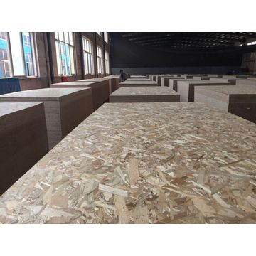 China Oriented strand board on Global Sources,OSB3,construction OSB ...