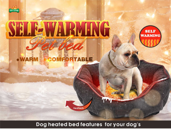 self heating dog blanket
