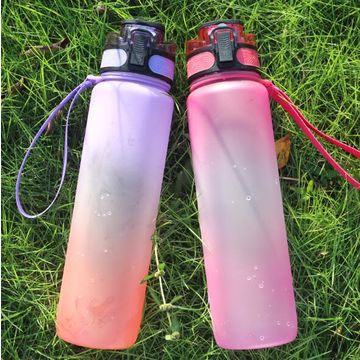 Buy Wholesale Custom Bpa Free Portable 500ml Clear Tritan Insulated Sport  School Travel Drink Kids Water Bottle For Kids With Straw from Ningbo  Hailan Plastic Industry Co., Ltd., China