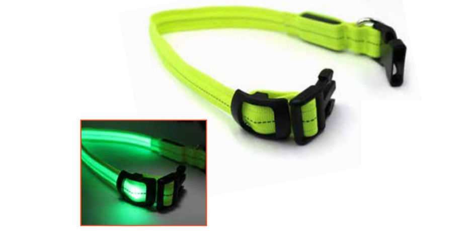 led dog leashes