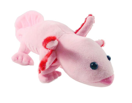 China China Soft Toys Custom Stuffed Animals Axolotl Toy Cute Pink Lizard Plush Gifts For Kids On Global Sources Custom Baby Soft Toys Plush Animals Toy For Kids Promotional Toys Doll