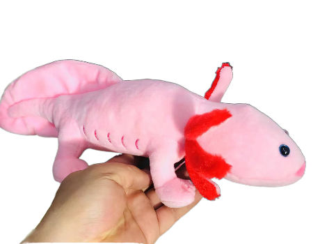 China China Soft Toys Custom Stuffed Animals Axolotl Toy Cute Pink Lizard Plush Gifts For Kids On Global Sources Custom Baby Soft Toys Plush Animals Toy For Kids Promotional Toys Doll