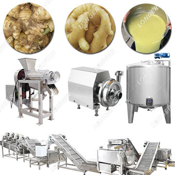 Small Ginger Juice Extractor Machine  Ginger Processing Machine  Manufacturer and Supplier