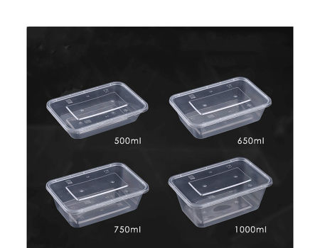 Transparent 500 ml Disposable Plastic Food Container, Box