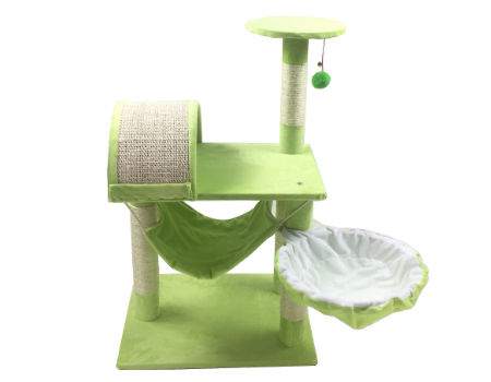 the scratching post cattery