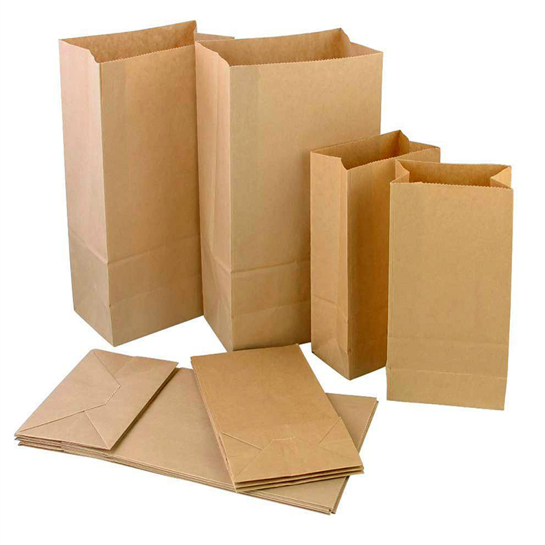 brown paper bolsa food packaging