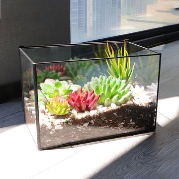 Buy Wholesale China Large Geometric Rectangle Glass Terrarium Planter For Indoor Tabletop Plant And Store Items & Geometric Rectangle Glass Terrarium Planter at USD | Global Sources