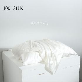 briscoes silk pillowcase