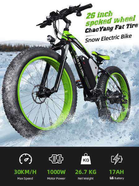 best battery for 1000w ebike