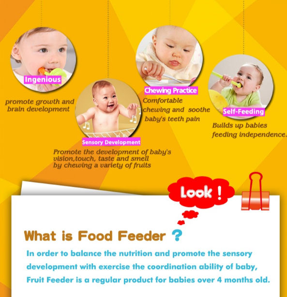 Buy Wholesale China Wholesale Baby Food Feeder Infant Nibbler Feeding Baby  Fruit Pacifier & Baby Fruit Feeder at USD 0.69