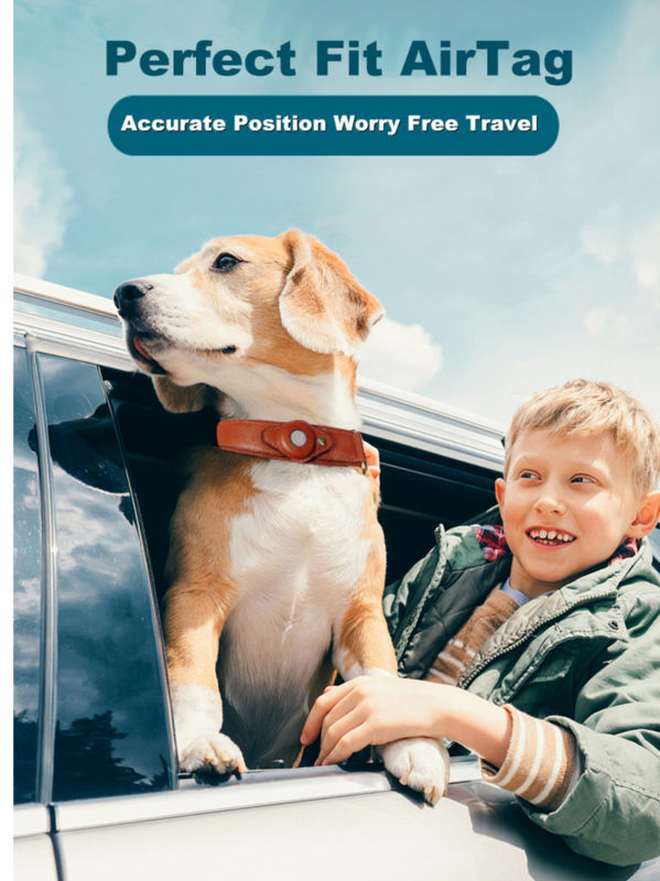 custom pet accessories