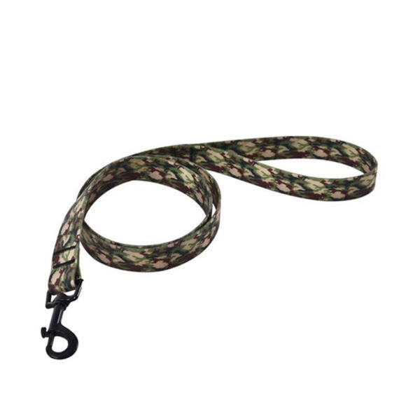 dog leash with d ring
