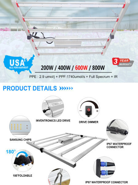 China 600W LED full spectrum plant grow light with Inventronic driver ...