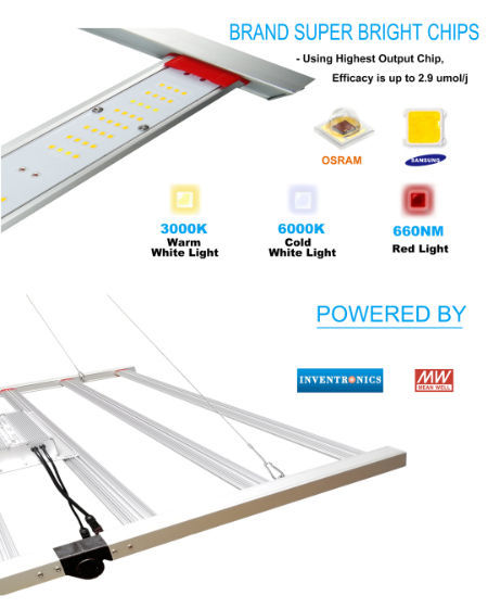 China 600W LED full spectrum plant grow light with Inventronic driver ...
