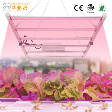 China 600W LED full spectrum plant grow light with Inventronic driver ...