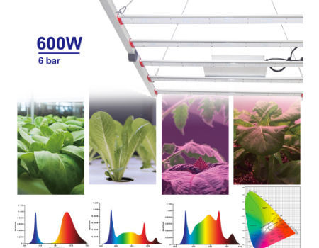 China 600W LED full spectrum plant grow light with Inventronic driver ...