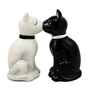 Ceramic Black White Buddha Cat Magnetic Salt and Pepper Shaker – BOTEGA  EXCLUSIVE