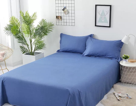 Flat Sheet Bedsheets Cotton Bedding, Sleeper Sofa Sheets Queen Size 600tc Superior Cotton