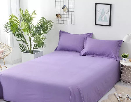 Cotton Hotel Fitted Bed Sheet For 
