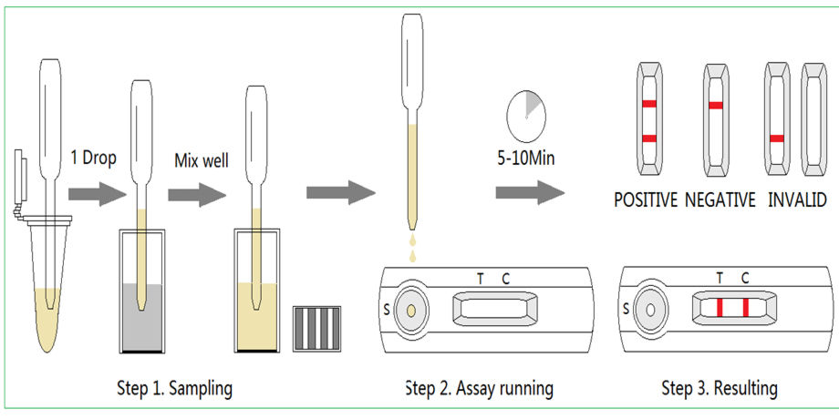 Canine Brucella Antibody Rapid Test Kit, CPV Ag+CCV Ag+Giardia Ag FOR ...