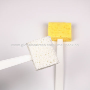 https://p.globalsources.com/IMAGES/PDT/B5149129194/Sponge-Stick.jpg