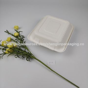 China Biodegradable sugarcane bagasse food boxes, 8 inch 3 compt ...