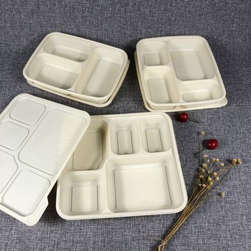 https://p.globalsources.com/IMAGES/PDT/B5151113338/PLA-biodegradable-lunch-food-containers.jpg